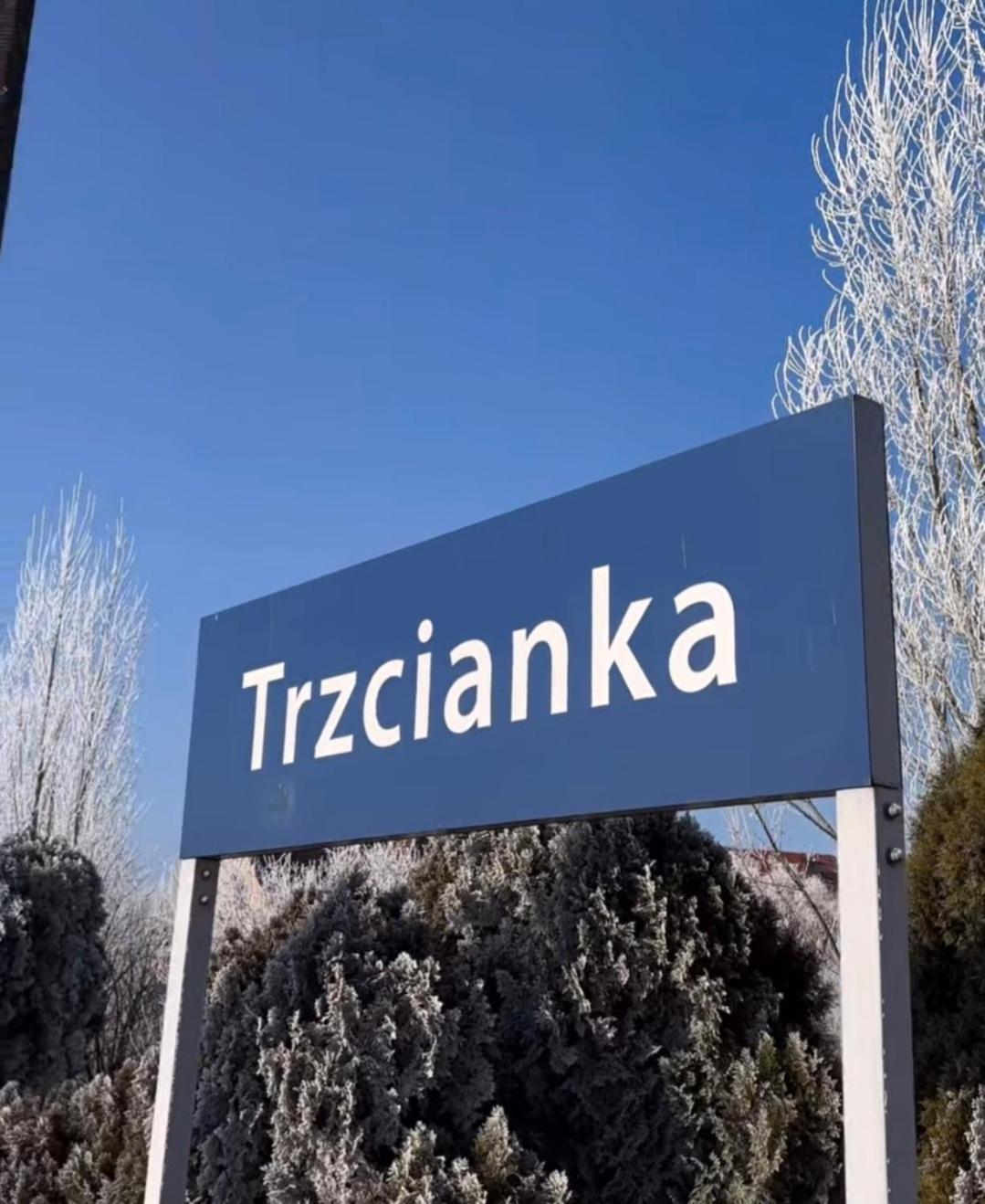 Noclegi "Las Wypas" Trzcianka 奇强卡 外观 照片
