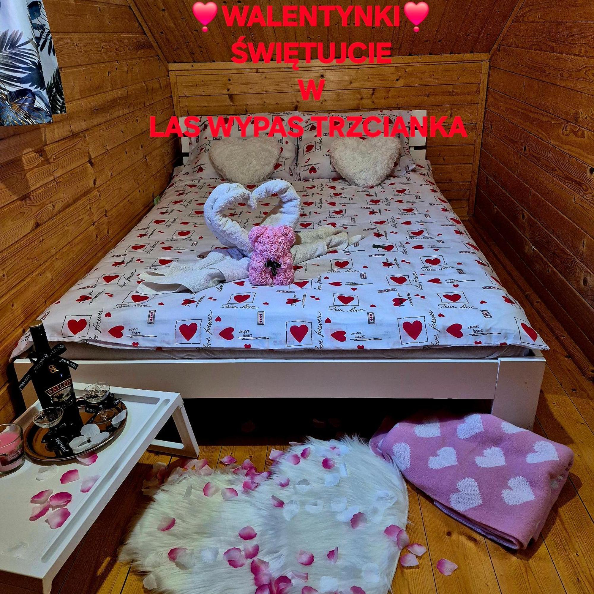 Noclegi "Las Wypas" Trzcianka 奇强卡 外观 照片